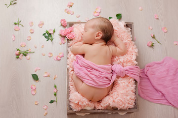 Fototapeta na wymiar newborn baby and roses