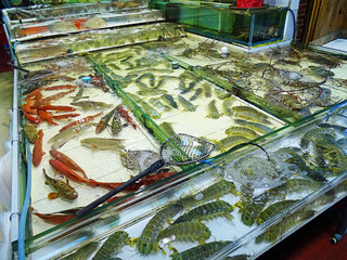 Market stall with Seafood in Hong Kong