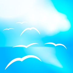 Fototapeta na wymiar Flying seagulls on the sea