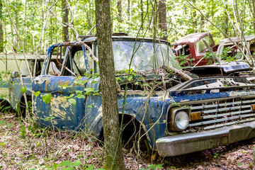 Blue Pickup Wrecked in Woods