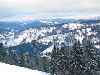 Winter in Carpathian mountains