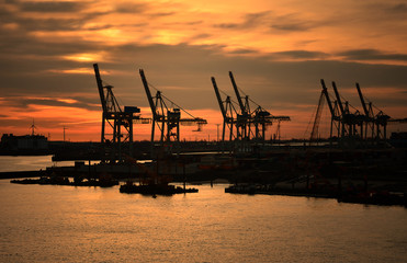 Fototapeta na wymiar Hafenkräne Hamburger Hafen bei Sonnenaufgang