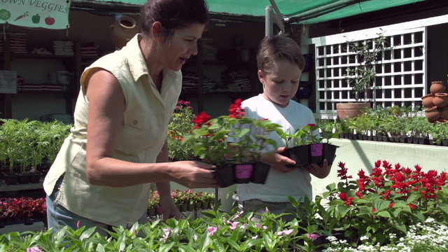 Mother and child selecting seedlings at a nursery, South Africa