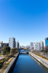 仙台堀川　木場公園より