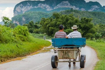 Gordijnen Local traffic in rural road in Vinales,Cuba. © marcin jucha