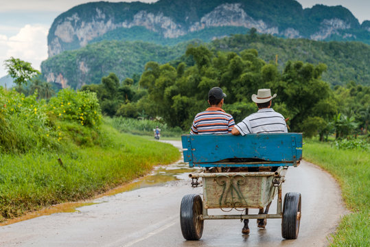 Local traffic in rural road in Vinales,Cuba.