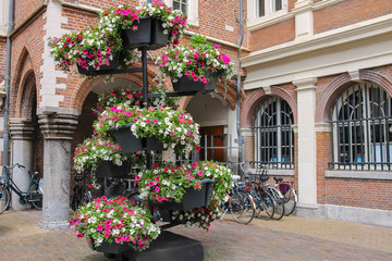 Fototapeta na wymiar Decorative floral composition in the historic centre of Haarlem,