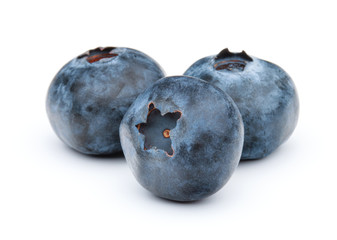 blueberry or bilberry or blackberry or blue whortleberry or huck