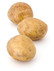 new potato tuber isolated on white background cutout