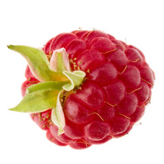 ripe raspberry isolated on white background close up