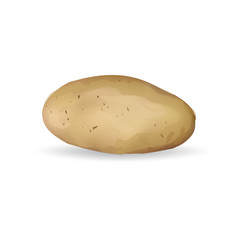 potato food vegan, vector