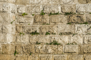 Marble stone wall with grass, Greece, Athens, old town. the city's historic center