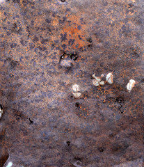 Rusty metal plate
