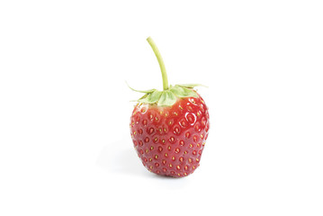strawberries on white background