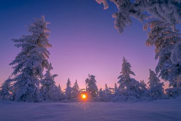 Winter landscape with forest, cloudy sky and sun 