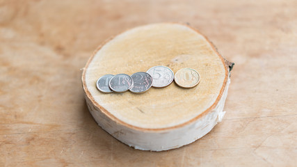 Rubles at the Birch cut. Russian money.