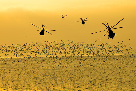 Silhouette of the military helicopter  moving into sky at sunset