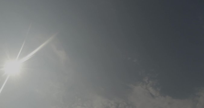 Gulls Flying in The Sky Under The Rays of The Sun