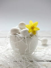 Ostereier in weiß mit gelber Narzisse