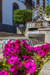 Firgas, Gran Canaria