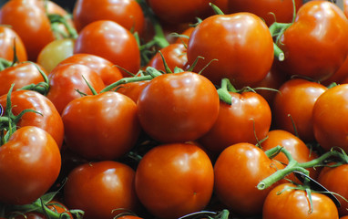 South Australian sweet tomatoes