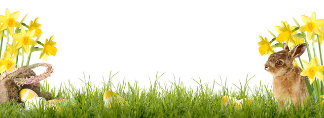 Happy Easter