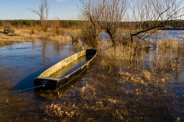 Narew © podlaski49