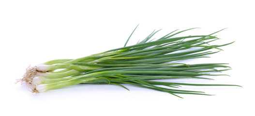 spring onions on a white background.