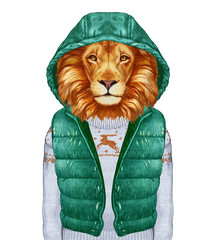 Fototapeta premium Animals as a human. Portrait of Lion in down vest and sweater. Hand-drawn illustration, digitally colored.