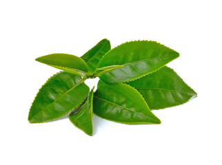 Green tea leaf isolated on white background