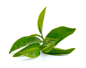 Green tea leaf isolated on white background