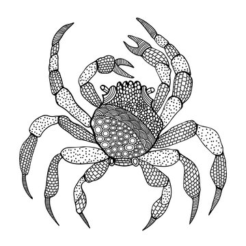 Crab isolated in zentangle style