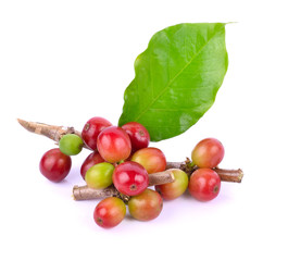 coffee beans on white background.