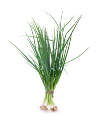 spring onions on a white background.