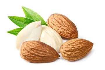 almond on white