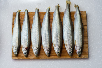 smelt fishes on white background