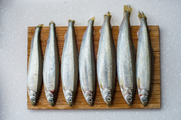 smelt fishes on white background