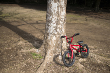 木に立てかけられた子供用の自転車