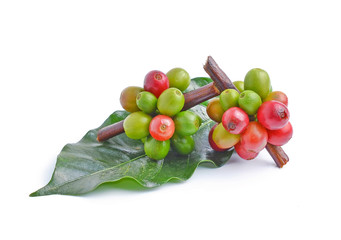 coffee beans on white background.