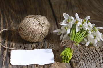 snowdrops bunch on wooden background