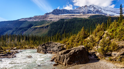 The River flowing from Takakkaw Falls with Michael Peak in the background in Yoho National Park in the Rocky Mountains in British Columbia, Canada.