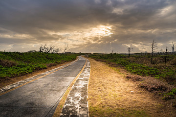 Fototapeta premium Road, grass, landscape. Okinawa, Japan, Asia.