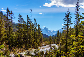 Isolated Peak and rurrounding mountains and forests in Yoho National Park in the Rocky Mountains in British Columbia, Canada.