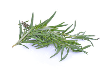 Rosemary isolated on white background