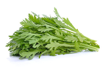 Chrysanthemum coronarium Isolated on white background