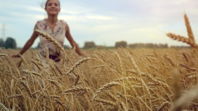 Young smiles woman running in a wheat field. Hand of a young girl touching corn ears in a field at sunset in slowmotion. hd, 1920x1080