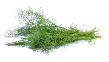 Dill on white background