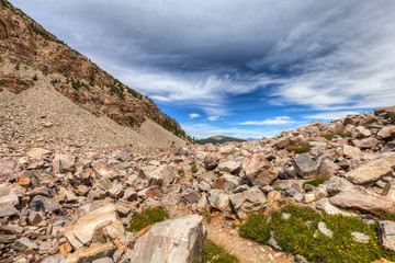 Fototapeta na wymiar Nevada-Great Basin National Park-Bristlecone-Pine Trail. This trail leads through a grove of old Bristlecones, and further along, is, an interesting glacier and rocky area.