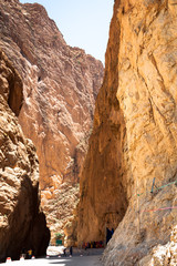 Todgha Gorge, a canyon in the High Atlas Mountains in Morocco, n