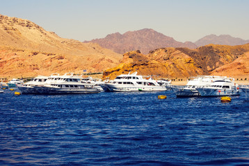 Boat near the coast in the red sea with crystal water